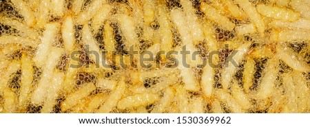 Panoramic view of French fries deep fried in bubbles Royalty-Free Stock Photo #1530369962