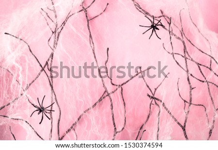Halloween decorations scary branches and cobwebson on pastel pink background.