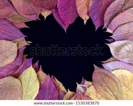 Background texture of leaves from the autumn forest. Autumn landscape: fallen leaves from the park. Golden autumn, colorful leaves from trees, on a black background.