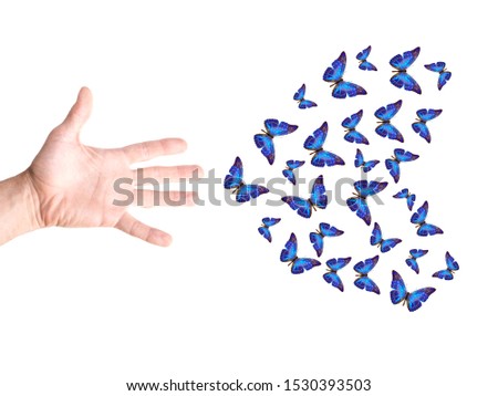 hand releases a flock of butterflies in the shape of a heart. isolated on white background