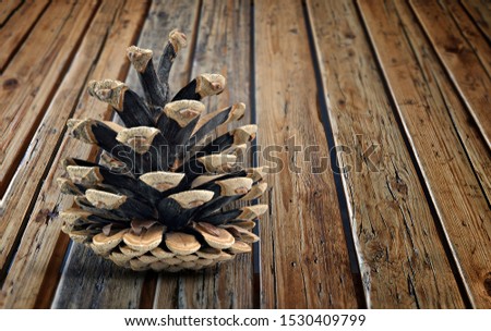 Opened Pine cone on textured wooden table in perspective