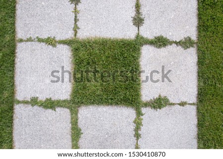 Fragment of landscape design, Pair of stone tiles and classic green lawn