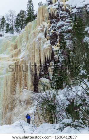  Christmas in Lapland. The picturesque wall of the frozen multi-colored water. Man -  tourist in a blue jumpsuit climbs to frozen waterfall. The concept of photo and eco-tourism