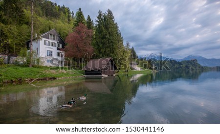 Lake Bled Slovenia. Beautiful mountain lake with small Pilgrimage Church. Most famous Slovenian lake and island Bled with Pilgrimage Church of the Assumption of Maria and duck reflection in calm water