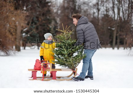 Little boy with his father lay a Christmas tree on a sled to take it home from winter forest. Christmas holidays.