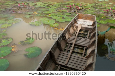 Old wooden boat floating in the lotus pond