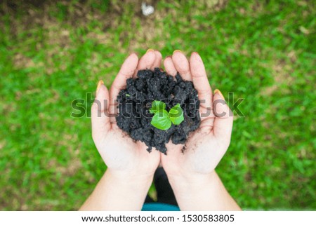 Woman holding a little plant with soil
