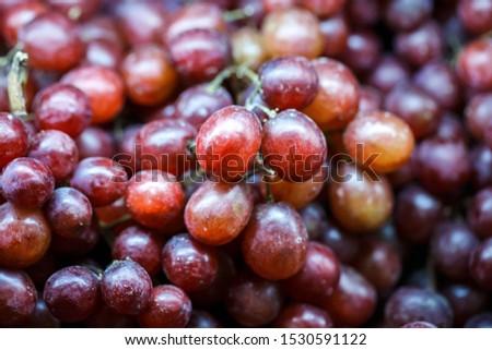 close up Red wine grapes background 