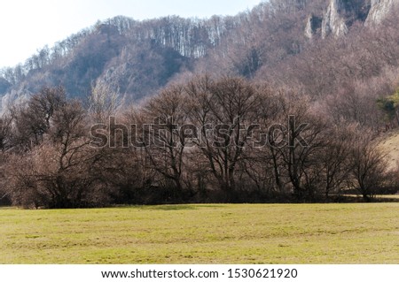 spring nature in rocky forest of Vrsatec village of Slovakia