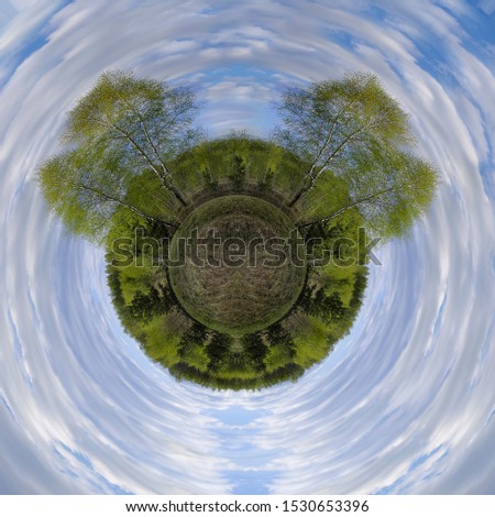 Panorama of spring birches in the field, blue sky. Round,spherical, spring photos.Small planet.