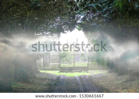Cloudy graveyard gate in a creepy environment. Royalty-Free Stock Photo #1530661667
