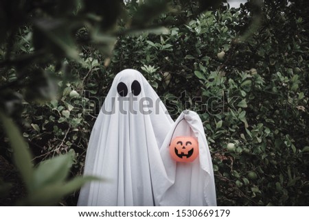 Ghost covered with a white ghost sheet on a forest with halloween pumpkin candy jar. Halloween Concept