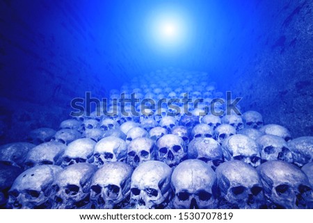 Collection of human skulls illuminated by blue light