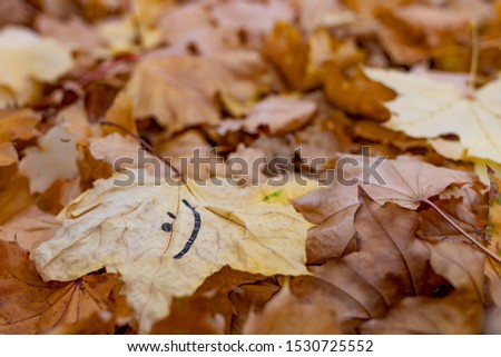 Smile or emoticon is painted on fallen foliage.