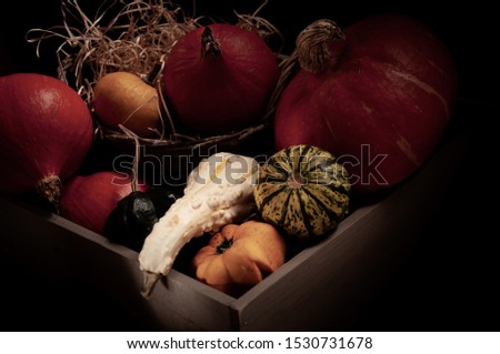 Pumpkins Still Life with wood box low key