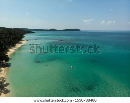 Aerial view of transparent water with seaweed lines and beach coast line on an island in Thailand 