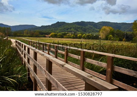 Wooden bridge in the countryside