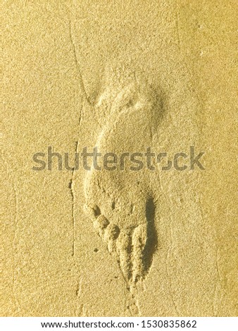 Sea coast, beach, footprints in sand. Studio Photo