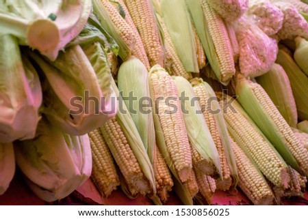 Traditional mexican corn for cooking