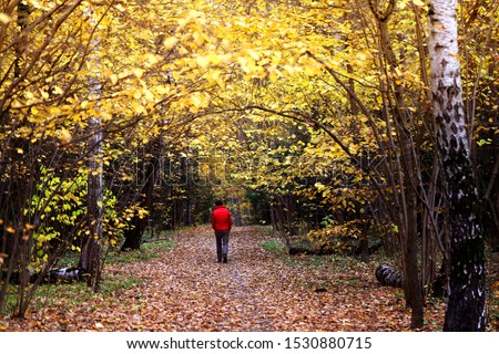 Photo background walk in autumn beautiful wonderful park
