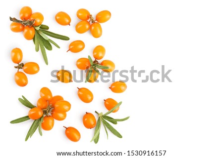 Sea buckthorn. Fresh ripe berry with leaves isolated on white background with copy space for your text. Top view. Flat lay pattern Royalty-Free Stock Photo #1530916157