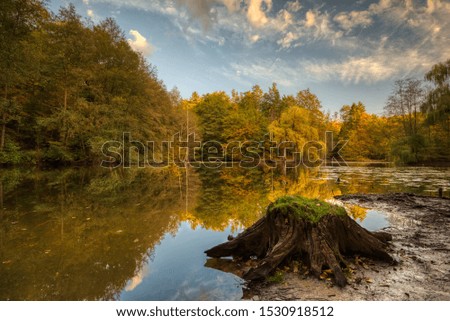 Autumn colours at a small lake with the reflection of sky