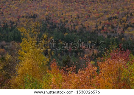 Fall colors, natural color pallet