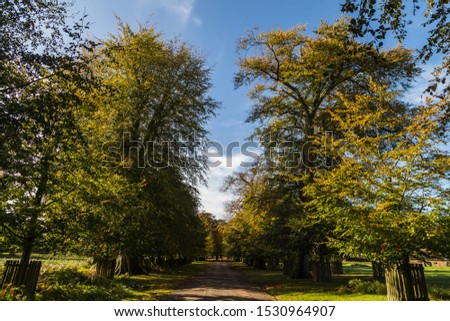 Trees begin to change colour during the autumn at Dunham Massey, England. Royalty-Free Stock Photo #1530964907