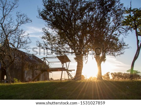 Image of a beautiful sunset amid the trees. Beside the scene, the ruins of an old abandoned Catholic church. Natural landscape and ancient architecture