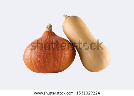 
Potimarron and butternut, on a white background Royalty-Free Stock Photo #1531029224