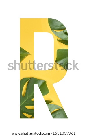 Flower font Alphabet R made of Real alive flowers monstera on yellow background with paper cut shape of letter. Collection of flora font for your unique decoration in summer