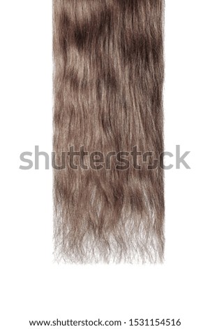 Long damaged straight brown hair isolated on white background