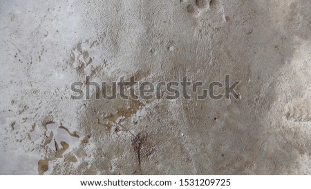 wet cement texture and background after rain
