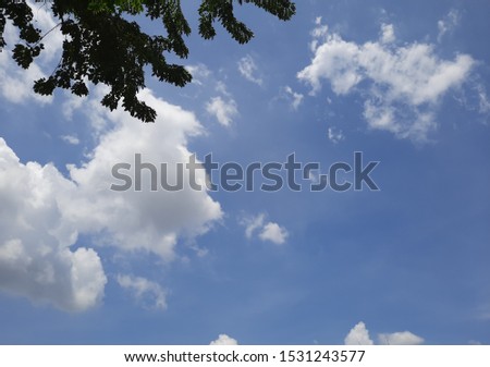 A beautiful sky, shot from the bottom up on a clear day in the morning. A sky background texture.