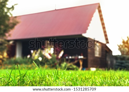 Low-Angle Close-Up of Mowed Green Grass Blades with Blurred Backyard Garden Shed or Outdoor Sauna in Background. Copy Space. Royalty-Free Stock Photo #1531285709