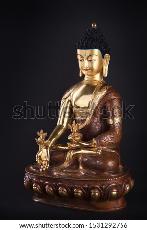 The gilded statue of Buddha Medicine in traditional clothes sitting in a lotus pose with flower of a medical plant of an arur. Isolated on black background.