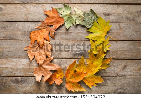 Frame made of beautiful autumn leaves on wooden background