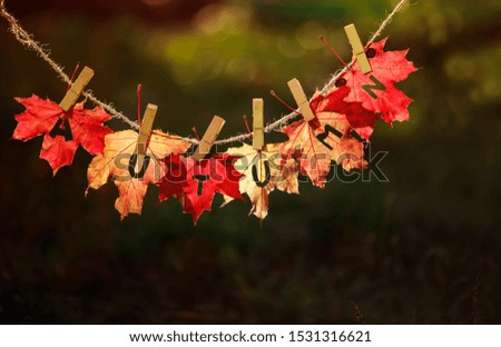 concept with banner saying autumn carved on multicolored maple leaves on clothespins and rope on Sunny day over green grass