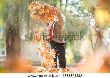 Happy cute boy in autumn leaves