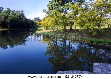 Bangkok, Thailand October 11, 2019 Pond in the garden in morning day with blue sky. Beautiful green park, Public park with green grass field and tree.- Image
