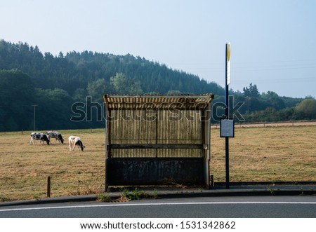 Lonely Busstop with signpost and timetable in a rural area with cows on a meadow. Country road in Sauerland Germany near Arnsberg-Vosswinkel. Shelter for waiteing passengers of public bus transport.