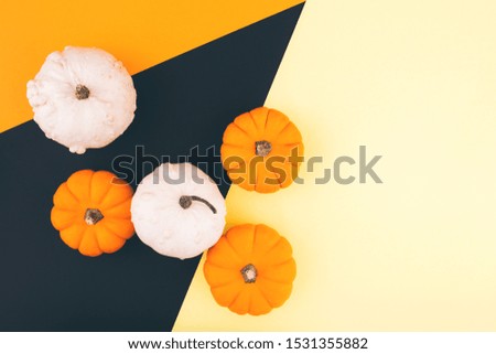 Halloween pumpkins on orange, yellow and black background. Place for design. Flat lay, copy space, top view. Happy Halloween Card.