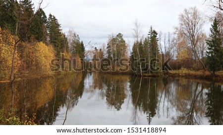 Pond in the yellow autumn forest