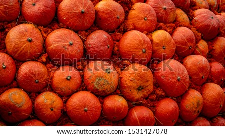 Orange pumpkins decoration on a farmers market. Seasonal autumn colors