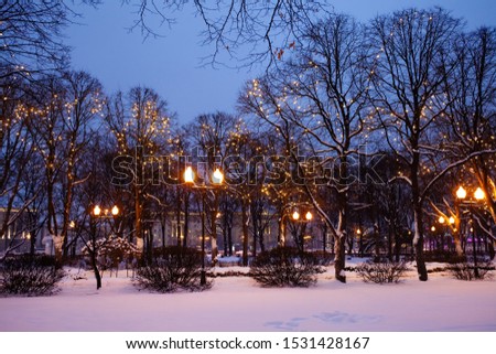 Festive  romantic fairytale winter evening park landscape. Snow covered trees, Christmas light chains garland decoration and street lights. 
