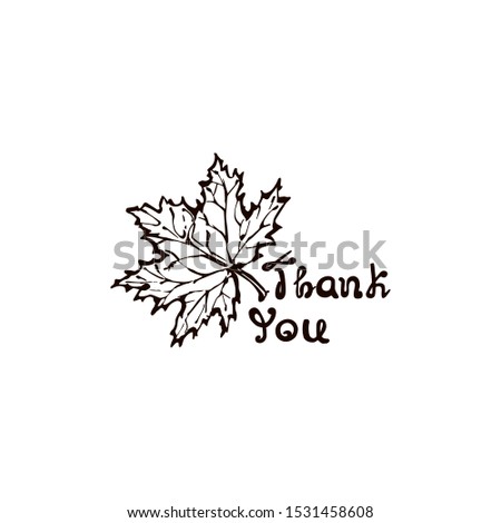 Hand drawn maple leaf with handwritten text isolated on white background. Inscription: Thank you