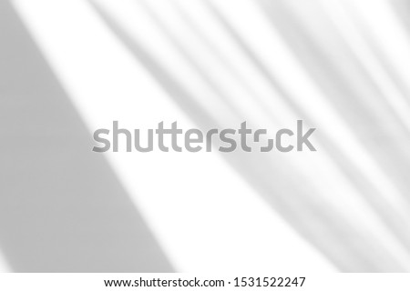 Organic drop diagonal shadow on a white wall, overlay effect for photo, mock-ups, posters, stationary, wall art, design presentation Royalty-Free Stock Photo #1531522247