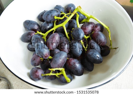 Detail of   grapes. Harvest of blue grape. Food, 