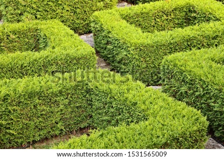 An outside labyrinth (maze).  Problem solving concept image. 