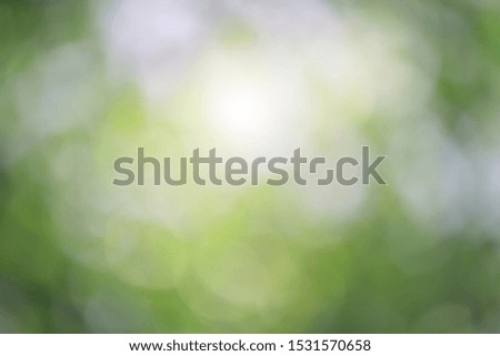 Bokeh green nature, Subtle background in abstract style for graphic design or wallpapers